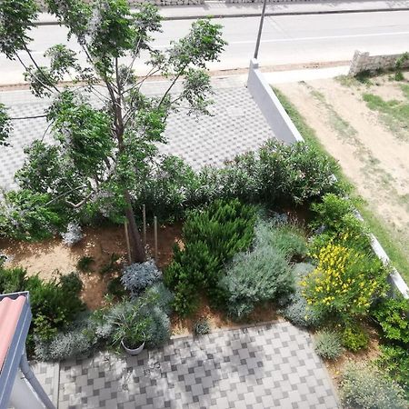 Apartment Villa Franci Pag Town Εξωτερικό φωτογραφία